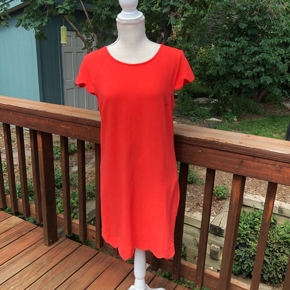 Monteau Los Angeles Orange Shift Dress, L